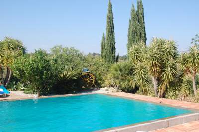 The pool at the villa